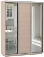 Фото shkaf-kupe-v-prikhozhuyu шкаф-купе экспресс трио медиум (2,1х0,6х2,2 - 3 двери) производитель Мебельная компания Е1