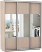 Шкаф-купе Экспресс Трио Комби (2,1х0,6х2,4 - 3 двери) в интернет магазине Планета Комфорта Фото shkaf-kupe-v-prikhozhuyu шкаф-купе экспресс трио комби (2,1х0,6х2,4 - 3 двери) производитель Мебельная компания Е1