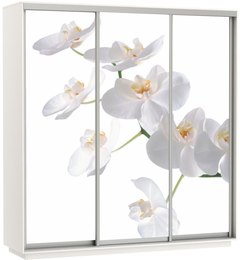 Фото Шкаф-купе Экспресс Трио Фото (2,4х0,6х2,4 - 3 двери) от производителя Мебельная компания Е1 в Алуште по цене 63&nbsp;870 ₽