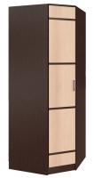 Шкаф Сакура (88) угловой (венге, лоредо-венге,(БТС)) в Алуште от производителя 